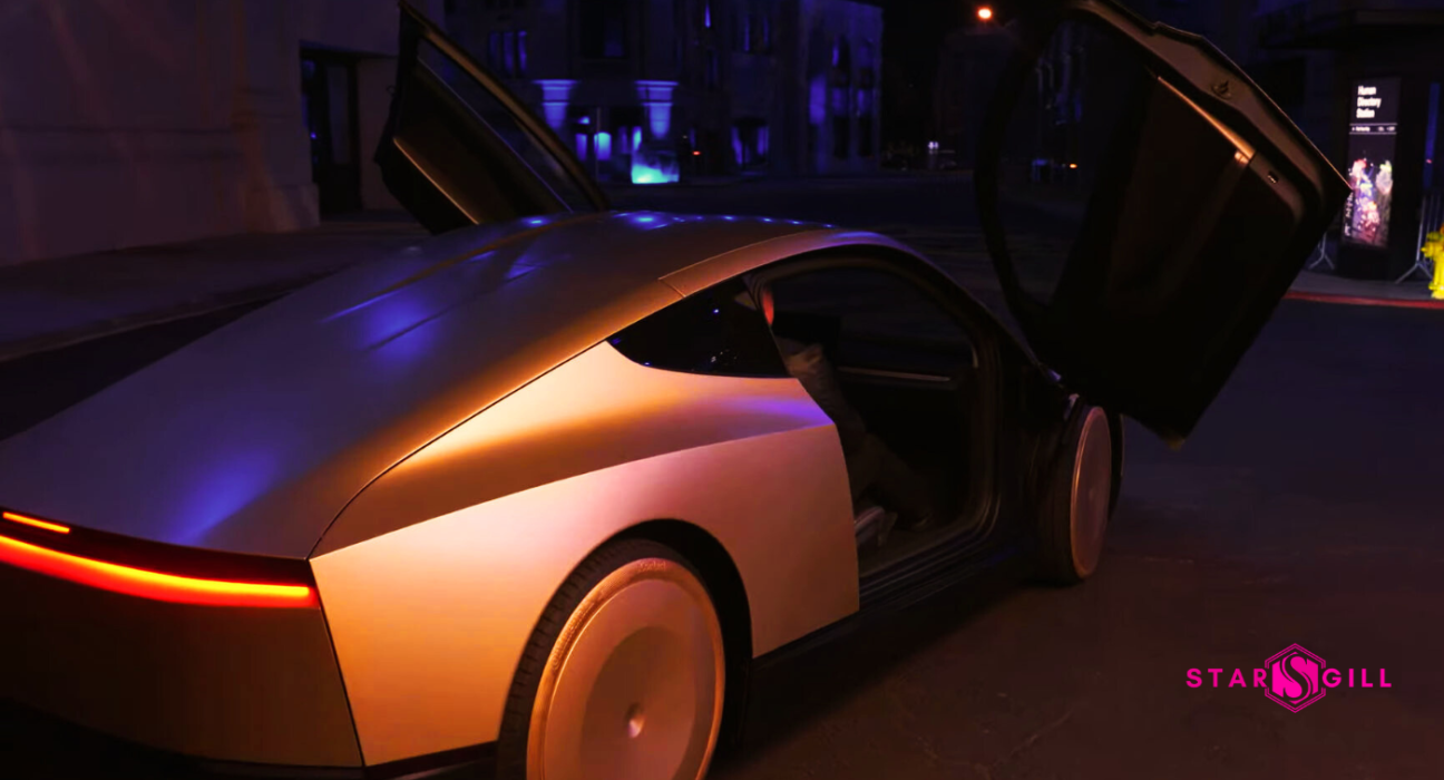 tesla robotaxi